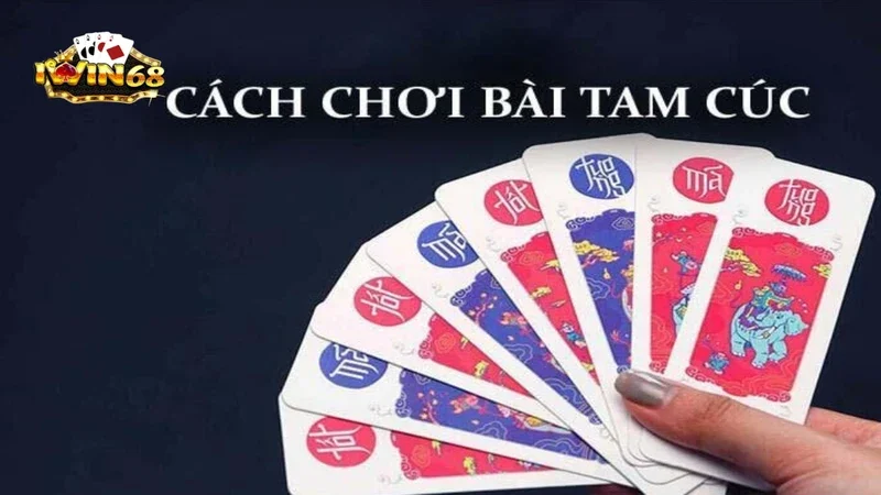 Luật chơi bài Tam Cúc iwin68 cụ thể cho newbie